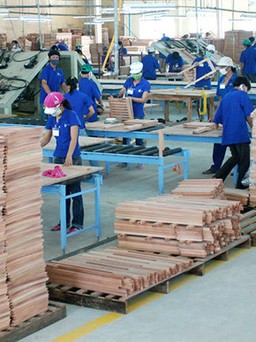 Cơ hội của ngành gỗ không nằm ở chiến tranh thương mại
