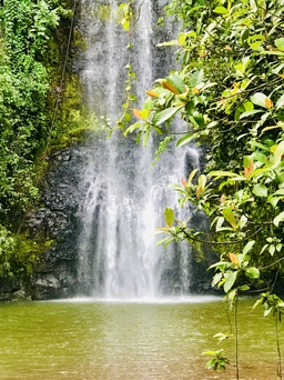 Lên Kon Tum 'chơi với mùa thu'