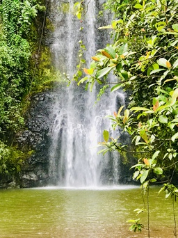 Lên Kon Tum 'chơi với mùa thu'