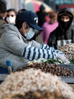 Giá lương thực tăng cao nhất trong vòng 10 năm