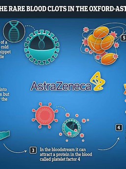 Phát hiện nguyên nhân gây ra tác dụng phụ cực kỳ hiếm gặp của vắc xin AstraZeneca