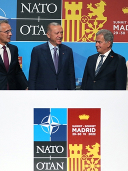Nga - NATO chạy đua tập hợp lực lượng