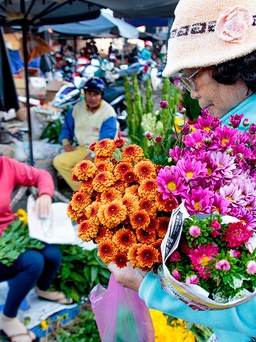 Về Việt Nam ăn tết khi nơi này vẫn là nhà