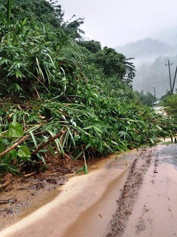 Quảng Nam: Sạt lở núi làm hàng nghìn người dân Trà Leng bị cô lập