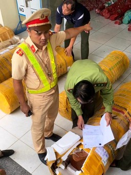 Quảng Nam: Phát hiện vụ vận chuyển gỗ trắc quy mô lớn không rõ nguồn gốc