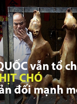 Trung Quốc: Vẫn tổ chức “lễ hội thịt chó” dù bị phản đối mạnh mẽ