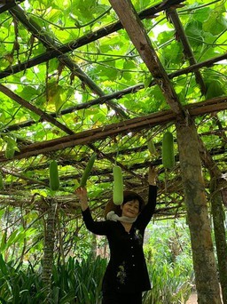 'Bí mật' đằng sau những khu vườn trĩu quả do giãn cách xã hội vì dịch Covid-19