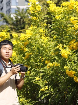 Có con đường hoa vàng đang nở rực, đợi mọi người đến 'sống ảo'