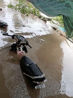 Cà Mau: Hơn 250 căn nhà bị ngập do mưa lớn kéo dài và triều cường dâng