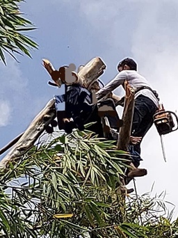 Cà Mau: Người đàn ông tử vong khi đang cưa cây thuê