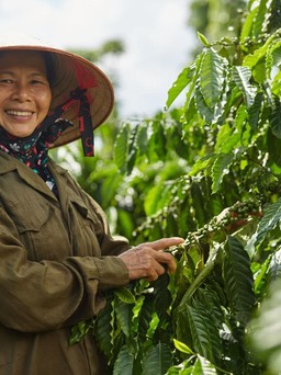 Phụ nữ Việt thành công hơn khi được trao cơ hội