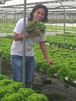 Trần Anh Nguyên thành công với nghề trồng rau cùng thương hiệu rau sạch Hạo Nguyên