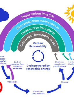 ‘Cầu vồng Carbon’ và câu chuyện chống biến đổi khí hậu