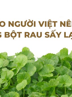 Vì sao người Việt nên sử dụng bột rau sấy lạnh