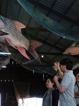 3 học sinh dạy thêm để kiếm tiền mở phòng trưng bày các loài cá Mê Kông
