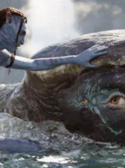‘Avatar: The Way of Water’ và ‘Top Gun: Maverick’ so kè nhau tranh Oscar