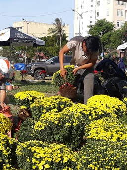 Đà Nẵng: Chợ hoa Tết Nhâm Dần 2022 sẽ mở từ 20 tháng Chạp