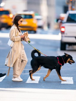 Có ai đeo túi đeo chéo sành điệu như Emily Ratajkowski chưa?