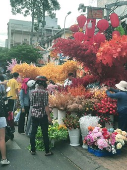 Năm chỉ có một cái tết nên mua sắm 'thả ga’ rồi năm sau 'cày' tiếp?