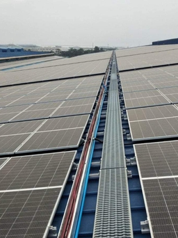 Mỹ khởi xướng điều tra với tấm pin năng lượng mặt trời nhập từ Việt Nam