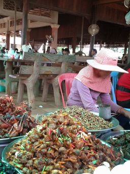 Đi Campuchia ăn nhện, sâu, gián... chiên giòn