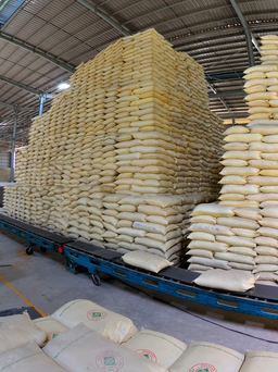 24 thương nhân đăng ký nhưng không xuất khẩu gạo suốt 18 tháng