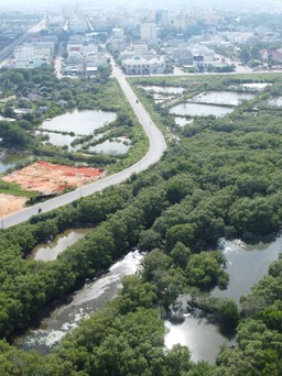 Bình Thuận: Thống nhất phương án hủy khu đô thị khi xây dựng công viên Hùng Vương