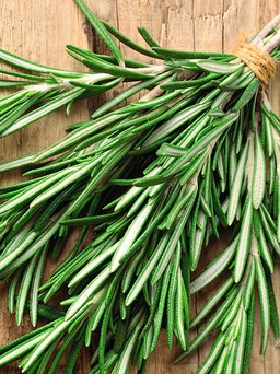 Lợi ích của cây hương thảo