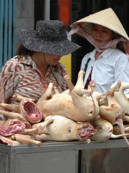 Người Việt Nam ăn thịt chó thứ 2 thế giới với 5 triệu con mỗi năm