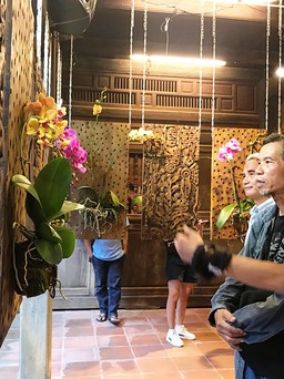 Sắp đặt hoa lan trong nhà cổ Hội An