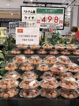 Thả tim cho trái vải Việt Nam, 2 tấn bán sạch trong 1 ngày tại Nhật