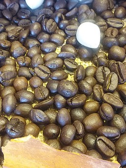 Nestlé giúp nhà nông tăng năng suất, chất lượng hạt cà phê