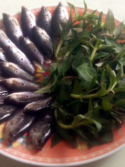 Hương vị quê hương: Cá sặc kho rau răm