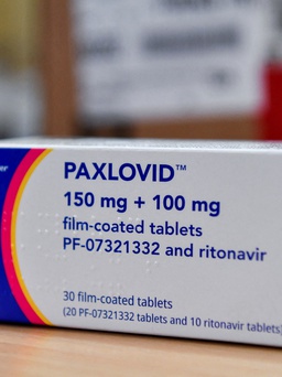 Thuốc Paxlovid không ngăn nhiễm Covid-19 nếu ở chung với F0