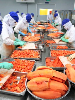 Rau quả luẩn quẩn chờ giải cứu: Phát triển công nghiệp chế biến, bảo quản