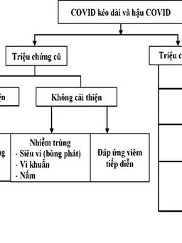 Điều trị xơ phổi ở bệnh nhân hậu Covid-19