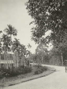 Nam kỳ ngao du: Trên đường cái quan Sài Gòn đi Phan Thiết