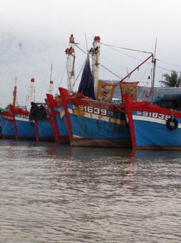 Thiếu trầm trọng lao động đi biển: Tàu cá tiền tỉ nằm bờ