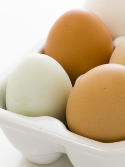 Trứng gà màu nâu và trắng: Loại nào tốt hơn?