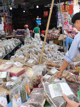 Khám phá thảo dược Việt: 'Rừng' thảo dược chợ Bắc Hà