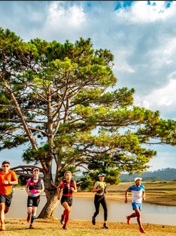 Nhiều nét mới hấp dẫn ở giải chạy địa hình Lâm Đồng Trail 2022