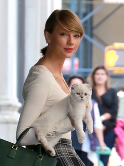 'Ngón nghề' âm nhạc đặc trưng của Taylor Swift
