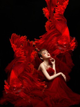 Ấn tượng cho mùa giáng sinh cận kề