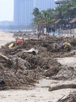 Sau lũ lịch sử, bãi biển Đà Nẵng tan hoang