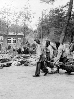 Những sự thật kinh hoàng về thảm sát Holocaust