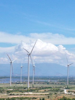 Ninh Thuận: Khánh thành nhà máy điện gió công suất 46,2MW