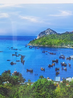 Ninh Thuận: Nhiều loại hình dịch vụ biển hoạt động trái phép trên vịnh Vĩnh Hy