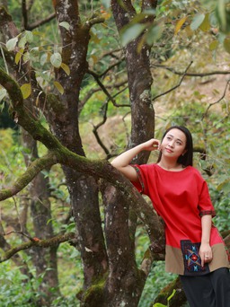 Vườn hồng cổ thụ ở Nghệ An thu hút du khách