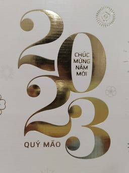 Bạn sẽ làm gì để đón năm mới 2023 ?