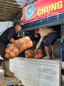 Sau phản ánh của Thanh Niên, nông dân Đà Lạt kịp thời được hỗ trợ mua rau